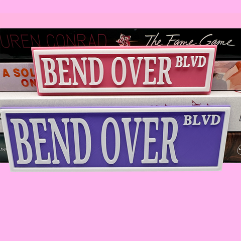 3D Printed Bend Over Boulevard Book Shelf Sign